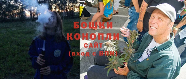 стафф Новозыбков