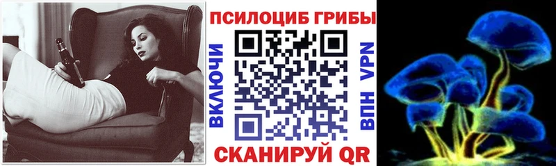 сколько стоит  Юхнов  Галлюциногенные грибы Psilocybe 