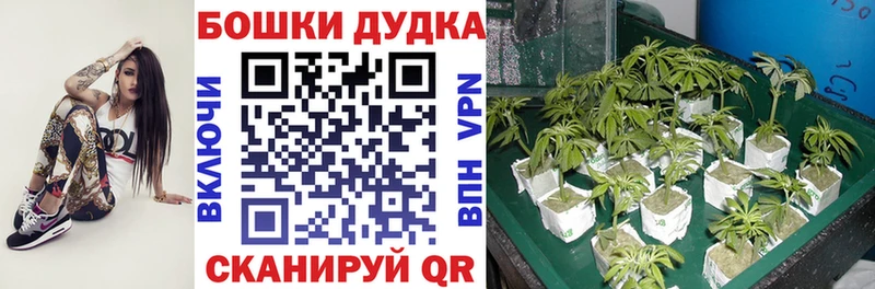 закладки  OMG вход  Бошки марихуана Bruce Banner  Юхнов 